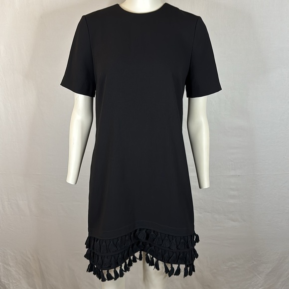 Zara Shift Dress with Pom Pom Hem - Picture 3 of 8
